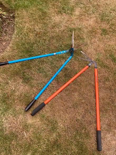 Photo of free Lawn Edging Tools (x2) (Barwell LE9) #1