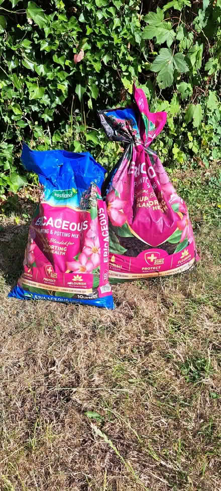 Photo of free Ericaceous compost (Chelmsford CM1) #1