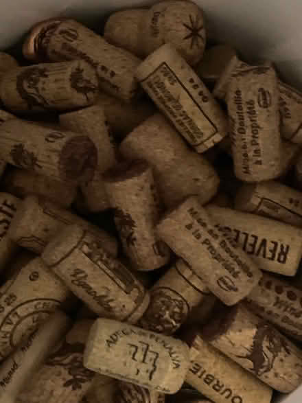 Photo of free Used corks (Stroud Green N4) #1