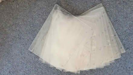 Photo of free A4 plastic sleeves (Hove Green BN3) #1