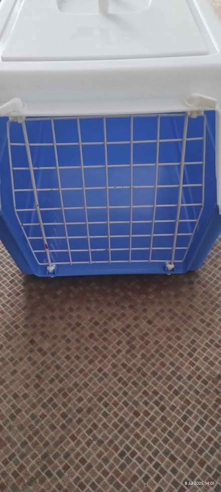 Photo of free Cat/ pet carrier (Eastbourne town centre) #1