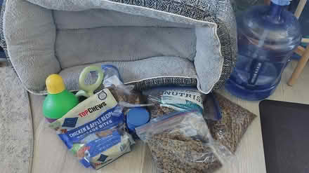 Photo of free Dog Stuff (Central District) #2