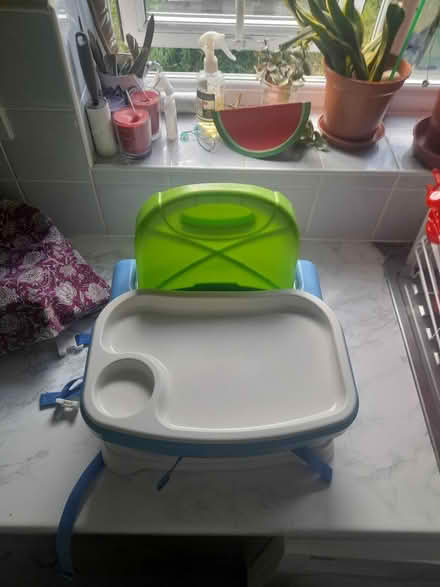 Photo of free Fisher price booster seat (B69) #4