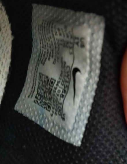 Photo of free Nike Dunks 13.5 (Parkhead EH11) #3