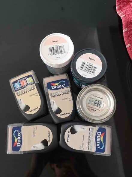 Photo of free Paint samples (Norbury SW16) #1