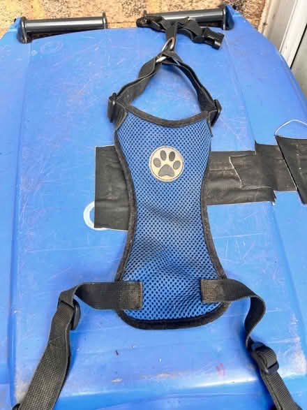 Photo of free Car dog harness with attachment lead (Panshanger AL7) #1