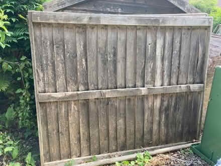 Photo of free Fence Panels 6ft x 5ft (Northchurch HP4) #1