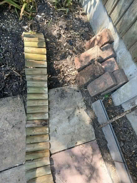 Photo of free Pot bound plants (Barlestone CV13) #4