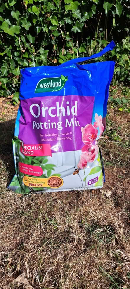 Photo of free Orchid potting compost (Chelmsford CM1) #1