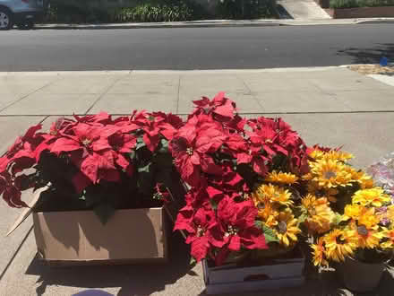Photo of free Artificial Flowers (San Bruno) #1