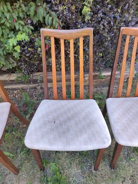 Photo of free Dining Chairs (Hangleton BN3) #3