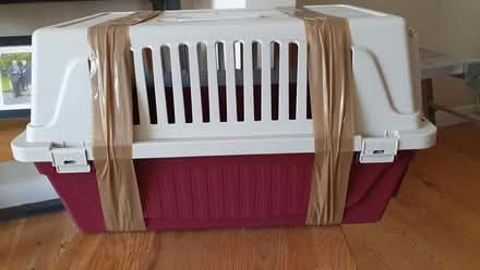 Photo of free Pet carrier for large cat or small dog (Kingston Gate KT2) #1