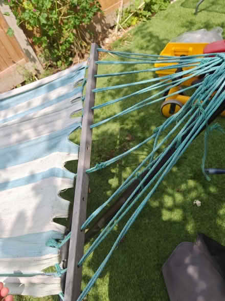 Photo of free Hammock (Wormholt road) #2