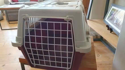 Photo of free Pet carrier for large cat or small dog (Kingston Gate KT2) #2