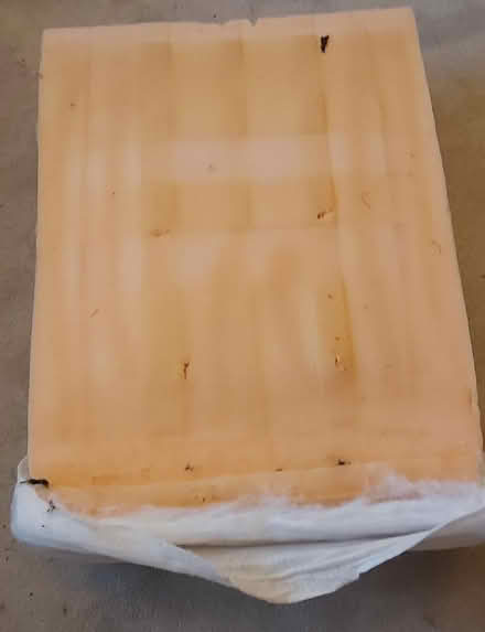Photo of free Foam Sofa Seat Pads (Great Wakering SS3) #1