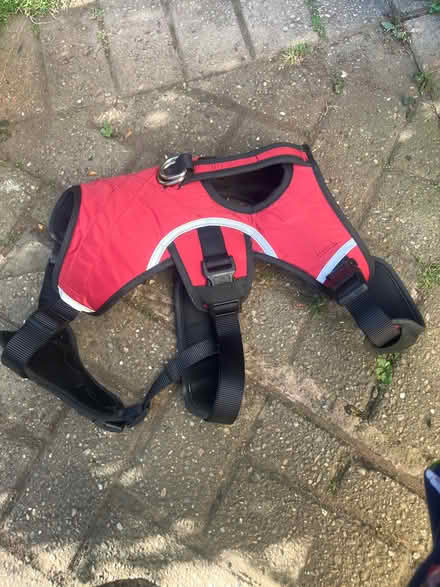 Photo of free Dog harness (Nesscliffe SY4) #2