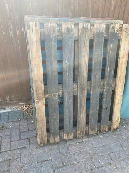 Photo of free Three pallets (Maidstone near Mote Park ME15) #1