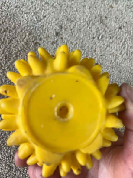 Photo of free Yellow Squeezy Hedgehog Dog Toy? (IG6) #2