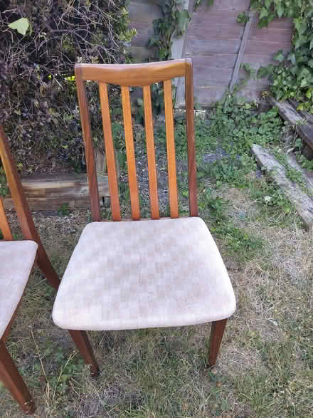Photo of free Dining Chairs (Hangleton BN3) #2