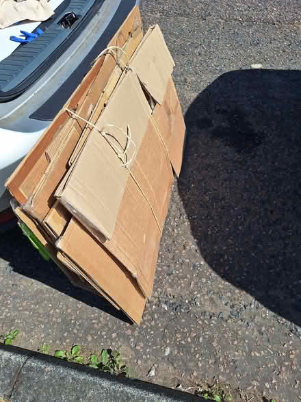 Photo of free Boxes for moving/storing (Walderslade ME5) #2