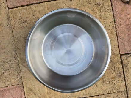 Photo of free Dog bowl (Little Harrowden NN9) #1