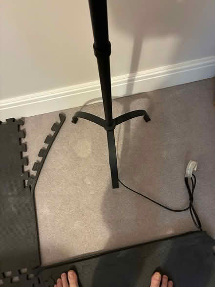 Photo of free Standard Lamp (SL5 0EY) #2