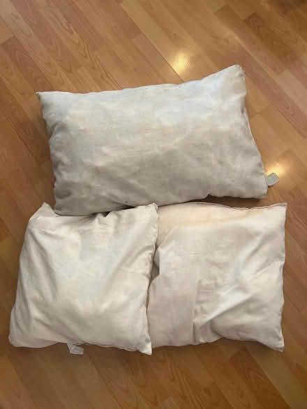 Photo of free Pillows (Old Woking GU22) #1