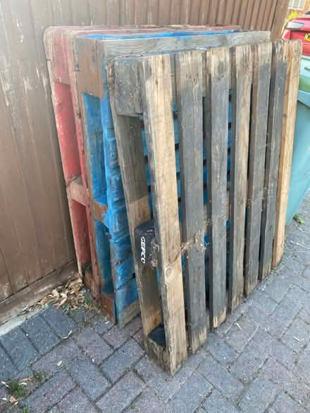 Photo of free Three pallets (Maidstone near Mote Park ME15) #2