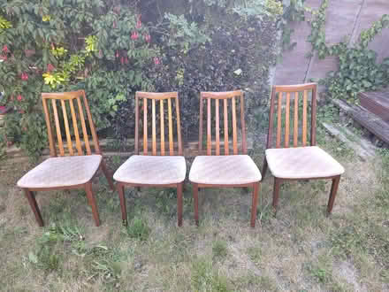 Photo of free Dining Chairs (Hangleton BN3) #1