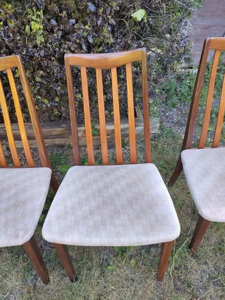 Photo of free Dining Chairs (Hangleton BN3) #4
