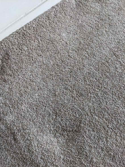 Photo of free Oatmeal coloured carpet & underlay (Lewes - near the prison) #2