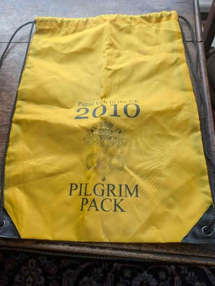 Photo of free Various bags all good condition (Neasden NW10) #1