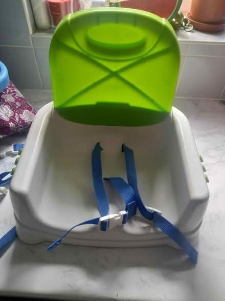 Photo of free Fisher price booster seat (B69) #3