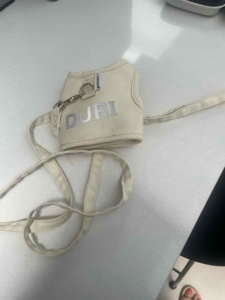 Photo of free Cat leash (Wood Green N15) #2