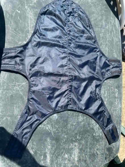 Photo of free Large 30inch DOG Coat (Whitton TW3) #1