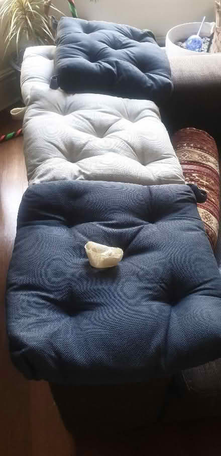 Photo of free Seat pads (Lewisham SE13) #1