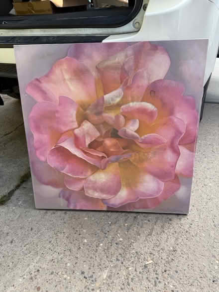 Photo of free Canvas Art (Glenolden, PA) #1