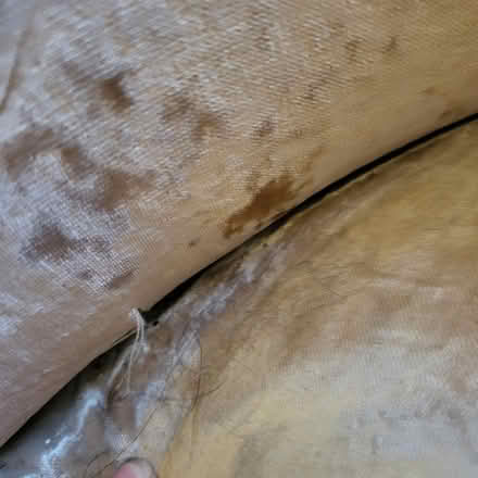 Photo of free Chair (Warlingham CR6) #3