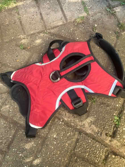 Photo of free Dog harness (Nesscliffe SY4) #1