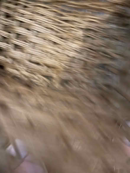 Photo of free Vintage bike basket (Dover Street SN1) #2