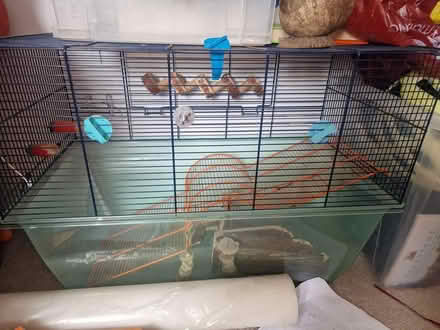 Photo of free Rodent cage (St Albans Central) #1
