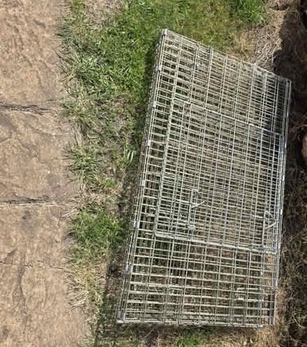 Photo of free Dog cage (Mottingham) #1