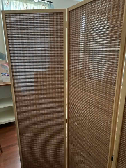 Photo of free Room divider (N10 2NL) #2