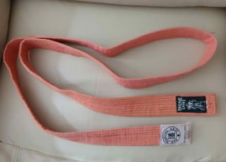 Photo of free Red Karate Belt (Turnpike Lane N15) #1