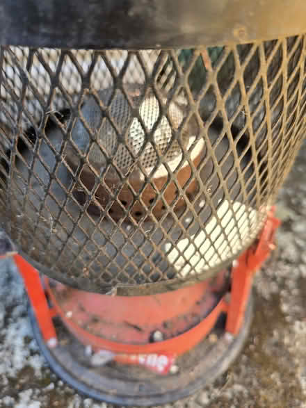 Photo of free Parafin heater (GU9 9e) #2