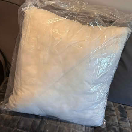 Photo of free Cushion inner/Pad (Chipping Norton OX7) #1