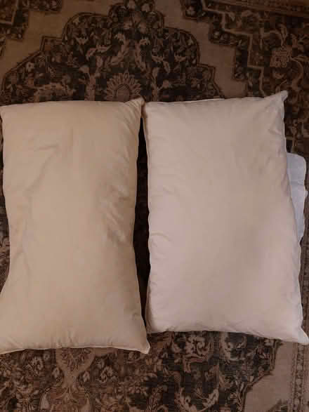Photo of free Two used ikea feather pillows (Wymondham NR18) #1