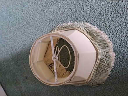 Photo of free Lamp shades for wall lights (Bohemia TN37) #4