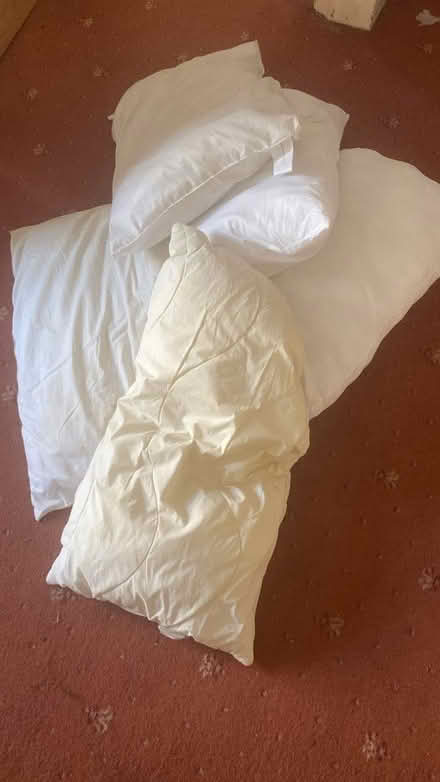 Photo of free Pillow - 5 mixed (Harrogate HG2) #1