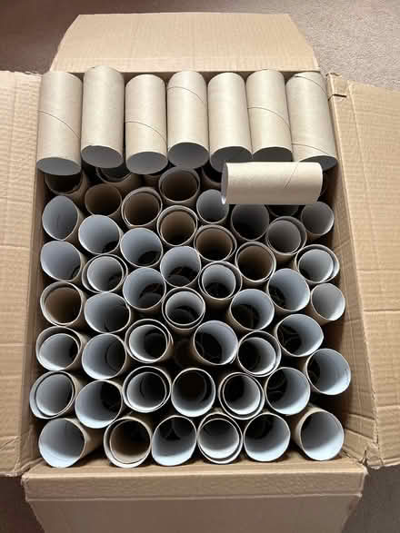 Photo of free Empty cardboard toilet roll tubes (Cheshunt EN7) #1